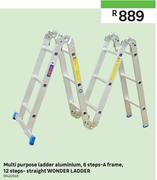 Multi Purpose Ladder (Aluminum)