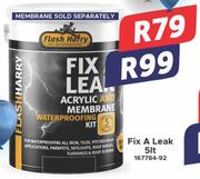 Flash Harry Fix A Leak-5Ltr 167784-92