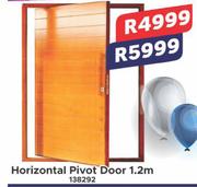 Horizontal Pivot Door 1.2m 138292