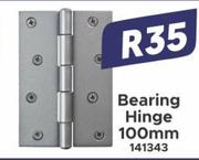 Bearing Hinge 100mm 141343