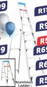 Aluminium Ladder 10 Step 162205