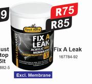 Flash Harry Fix A Leak