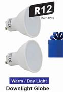 Downlight Globe Warm/Day Light