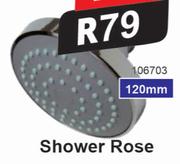 Fontein 120mm Shower Rose