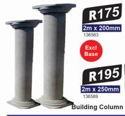 Building Column-2m x 250mm