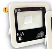 Ellies LED Floodlight Day/Night 10W