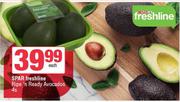 Spar Freshline Ripe n Ready Avocados-4s Each