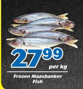 Frozen Maasbanker Fish-Per Kg