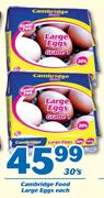 Cambridge Food Large Eggs-30's