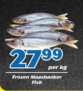 Frozen Maasbanker Fish-Per Kg