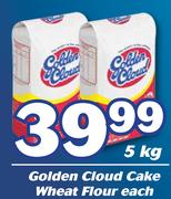 Golden Cloud Cake Wheat Flour-5kg Each