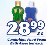 Cambridge Food Foam Bath Assorted-2L Each