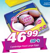 Cambridge Large Eggs-30's