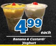 Banana & Custard/ Yoghurt-Each