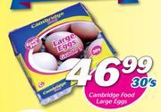 Cambridge Food Large Eggs-30's