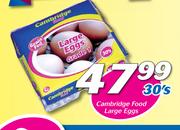 Cambridge Food Large Eggs-30's