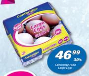 Cambridge Food Large Eggs-30's