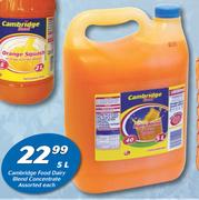 Cambridge Food Dairy Blend Concentrate Assorted-5Ltr Each