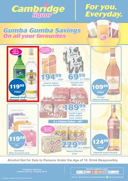 Cambridge Liquor KZN : March Mid Month (6 Mar - 19 Mar 2019), page 1