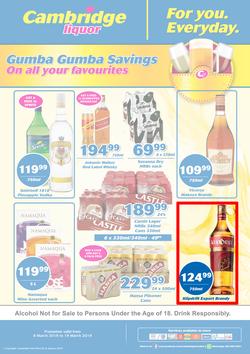 Cambridge Liquor KZN : March Mid Month (6 Mar - 19 Mar 2019), page 1
