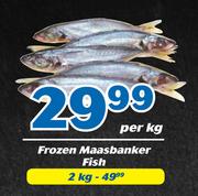 Frozen Maasbanker Fish-2kg
