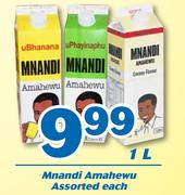 Mnandi Amahewu Assorted-1Ltr Each