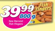Sea Harvest Fish Fingers-800g