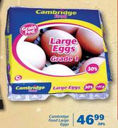 Cambridge Food Large Eggs-30's