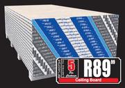 Ceiling Board