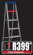 6 Step Ladder