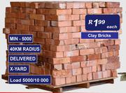 Clay Bricks-Each