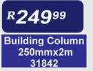 Building Column 250mm x 2m