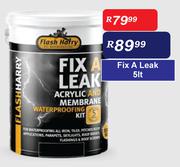 Flash Harry Fix A Leak-5L