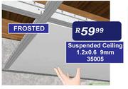 Suspended Ceiling Frosted 9mm 1.2 x 0.6