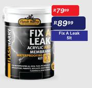 Flash Harry 5L Fix A Leak