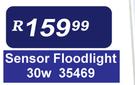 Sensor 30W Floodlight