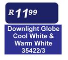 Downlight Globe Cool White & Warm White
