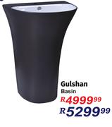 Gulshan Basin 