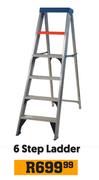 6 Step Ladder