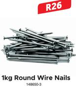 1Kg Round Wire Nails