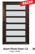 Alum Pivot Door 1.2