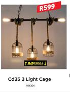 CD35 3 Light Cage