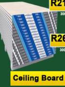 Ceiling Board 3000 x 1200 x 3.6mm 35054