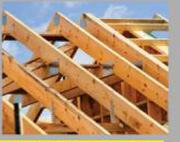 Timber 50 x 76-Per m