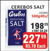 Cerebos Salt-40 x 500g