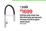 DELINIA Kitchen Sink Mixer Tap Holly Spring Neck (Chrome) 81444287
