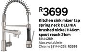 DELINIA Kitchen Sink Mixer Tap Spring Neck (Chrome) 81444251