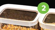 Locktite Container 1600ml 81472946