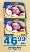 Cambridge Food Large Eggs-30's Each