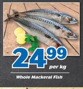 Whole Mackeral Fish-Per kg